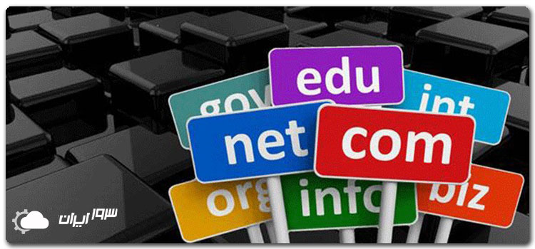 منظور از دزدیدن دامنه چیست؟