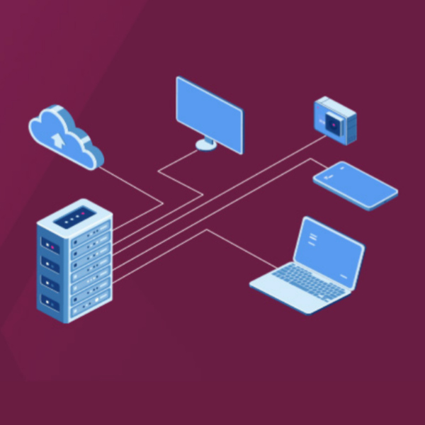 کاربردهای DNS پویا در دنیای مدرن